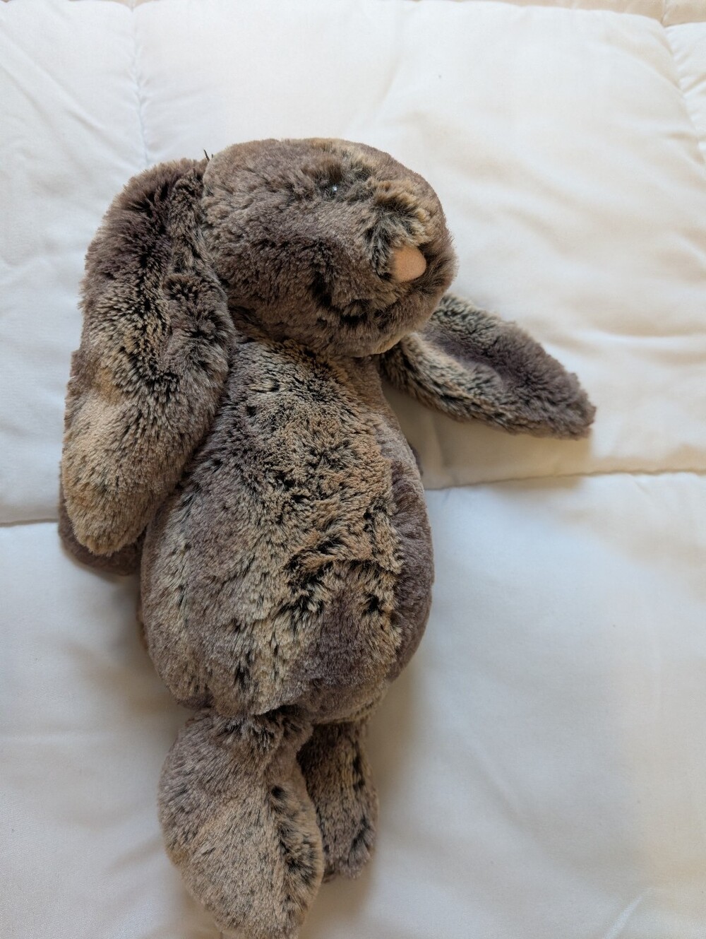 Jellycat London Bashful Woodland Bunny Stuffed Animal - Soft Plush Rabbit Sz M - Picture 11 of 12